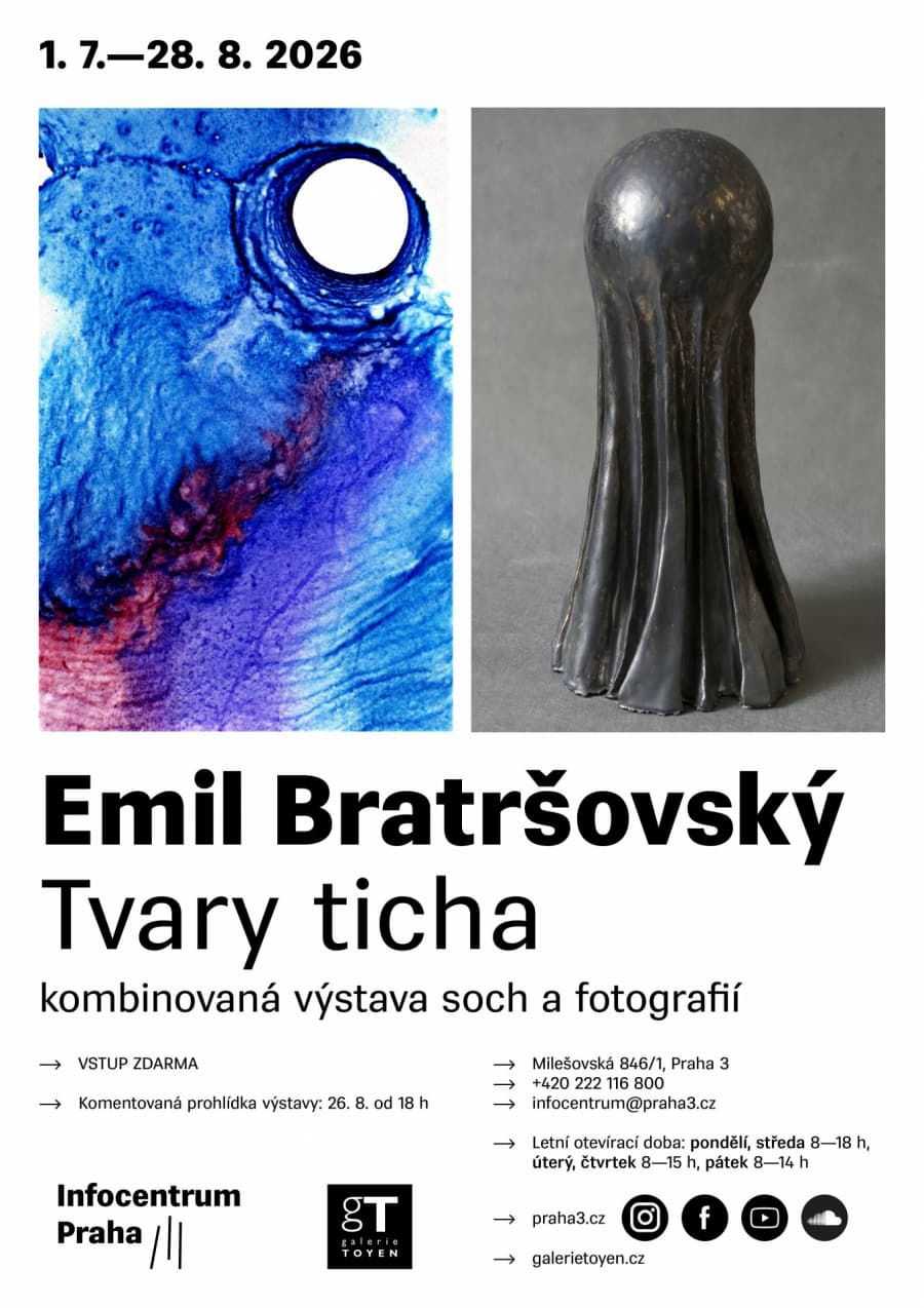 Tvary ticha